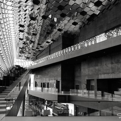 Harpa_IMG_9488