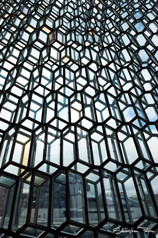 Harpa_IMG_9495