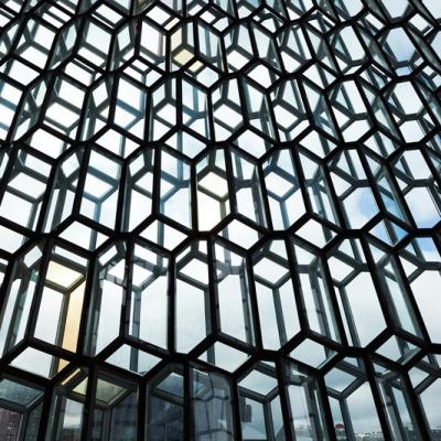 Harpa_IMG_9495