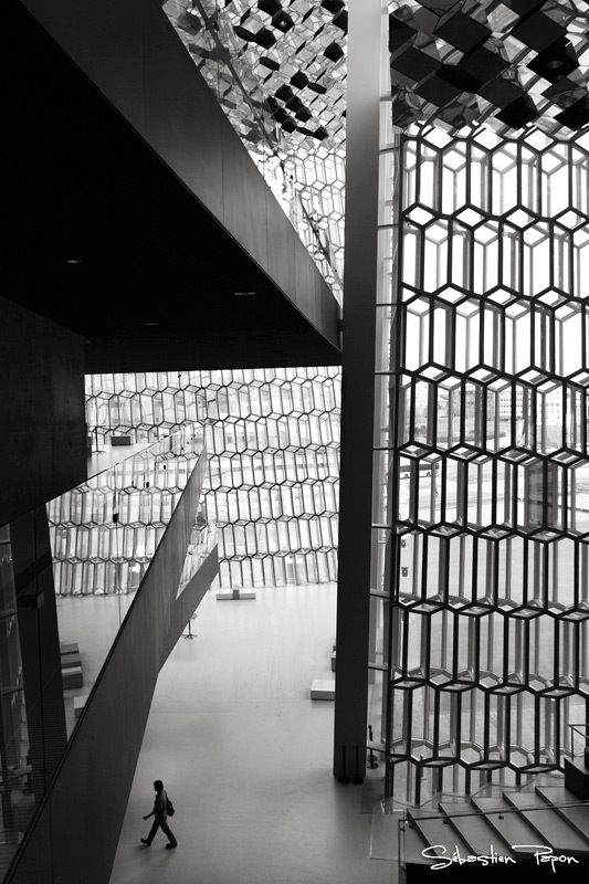 Harpa_IMG_9502