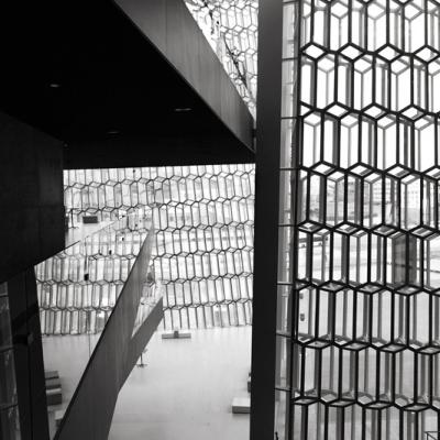 Harpa_IMG_9502