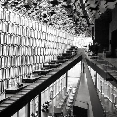 Harpa_IMG_9503