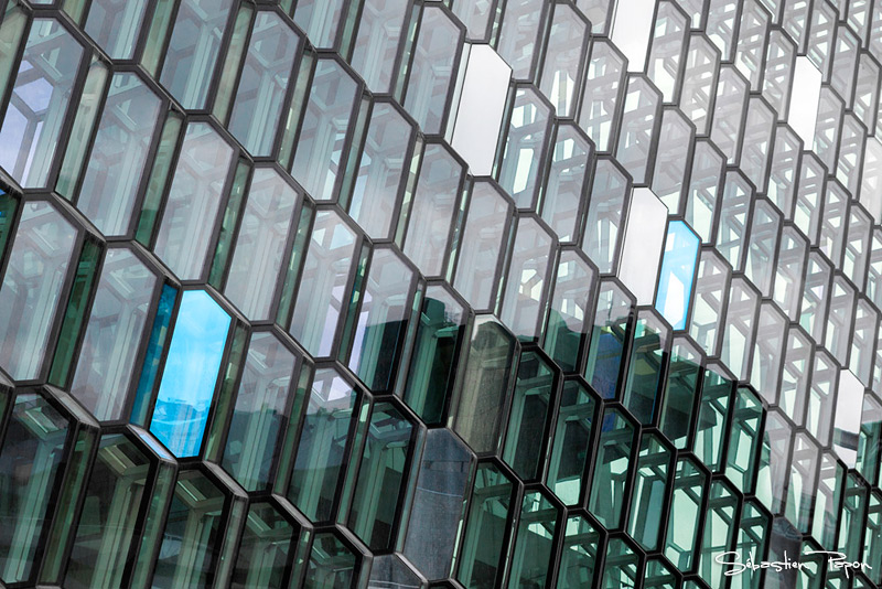 Harpa_IMG_9506