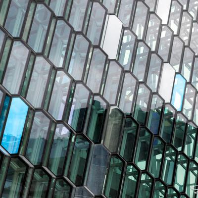 Harpa_IMG_9506