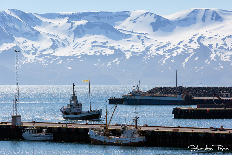 Husavik_IMG_12043