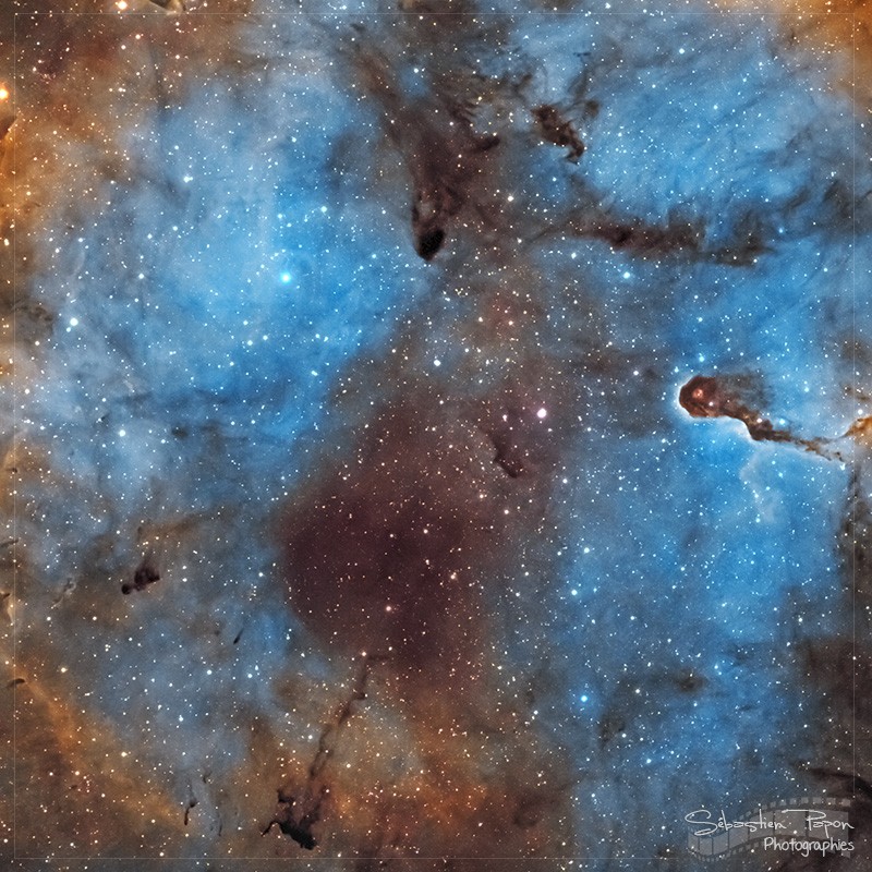 IC1396 - Nébuleuse de la trompe d'éléphant