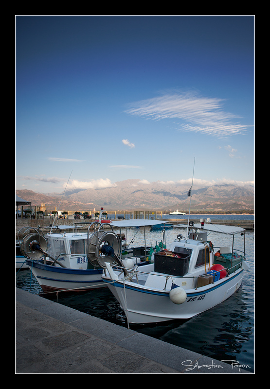 Port de Calvi