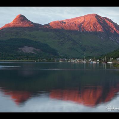 Glencoe Rouge