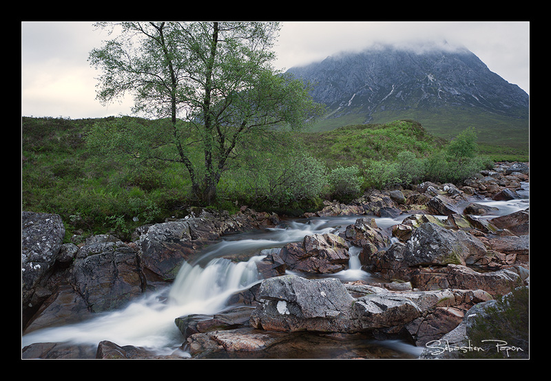 Buachaille