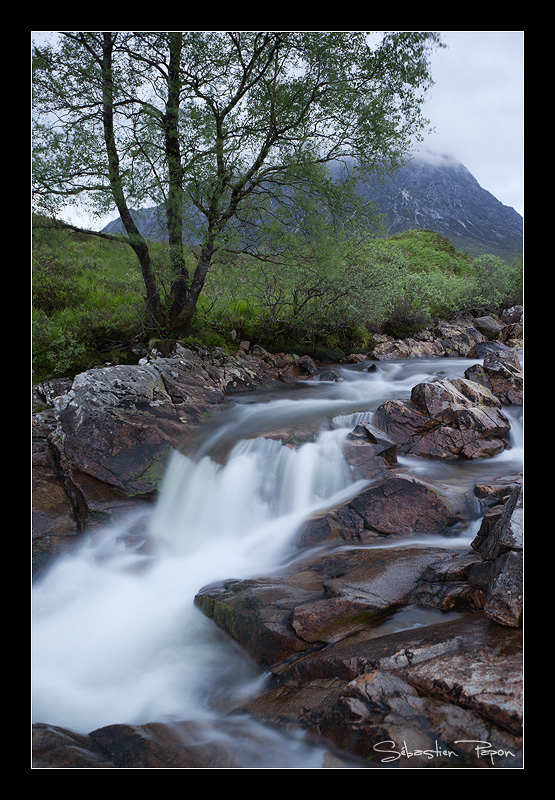 Buachaille