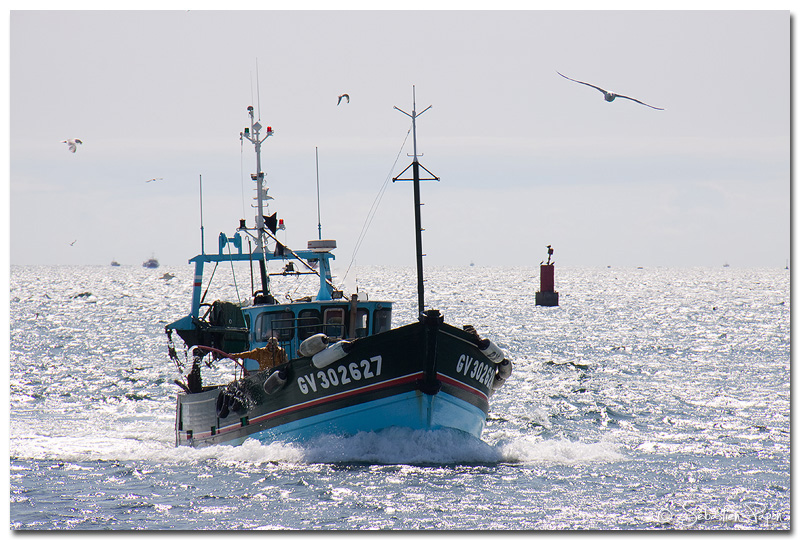 Retour de pêche 02