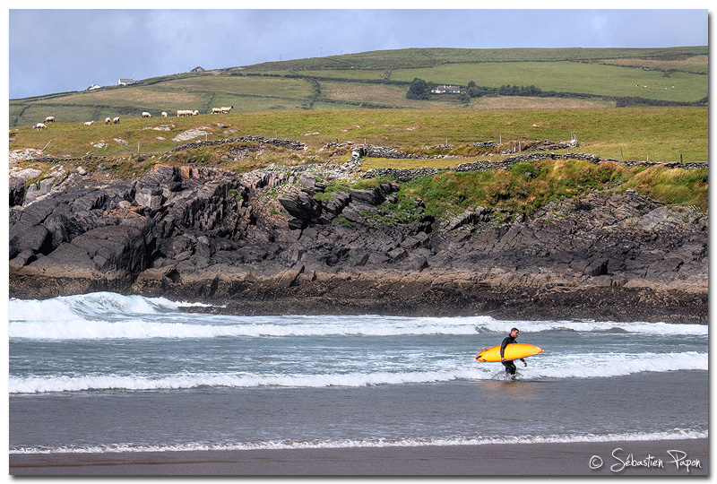 Surfer