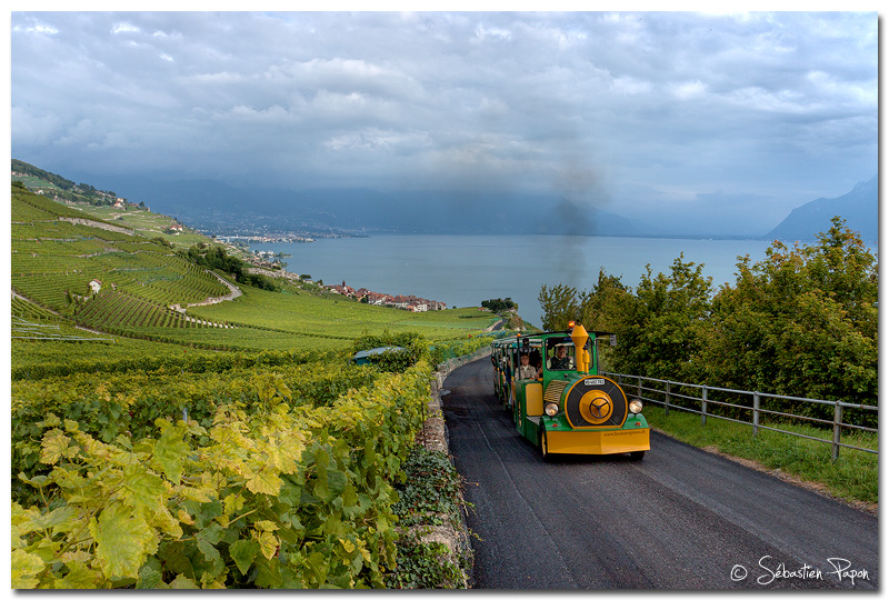 Petit train