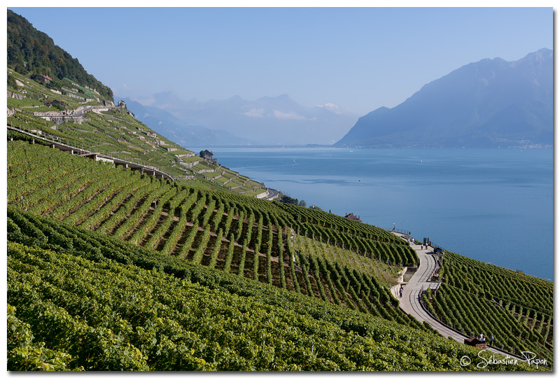 Lavaux 05