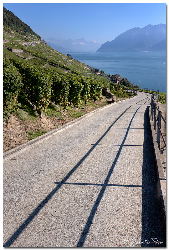 Lavaux 06