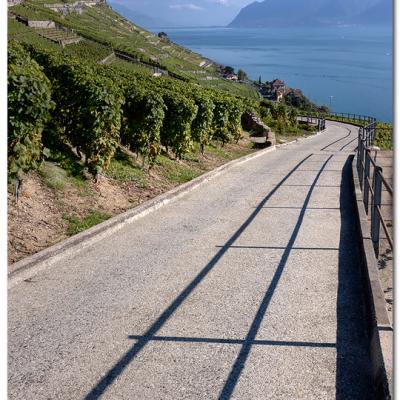 Lavaux 06