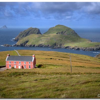 Pink House