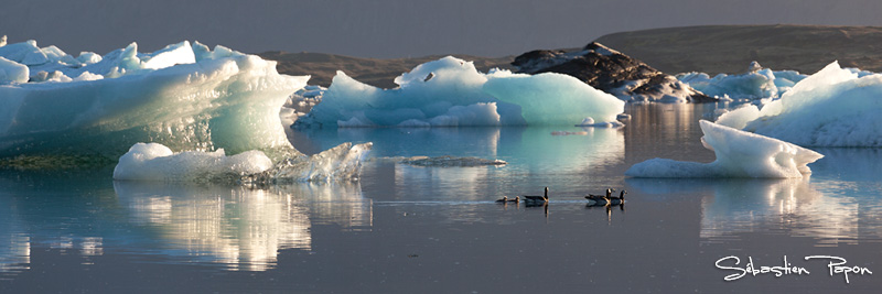 Jokulsarlon_IMG_10119_03