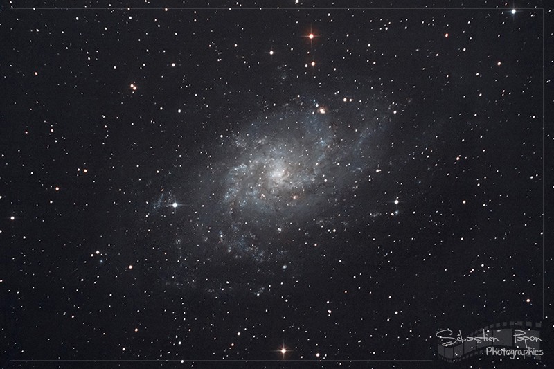 M33