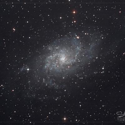 M33