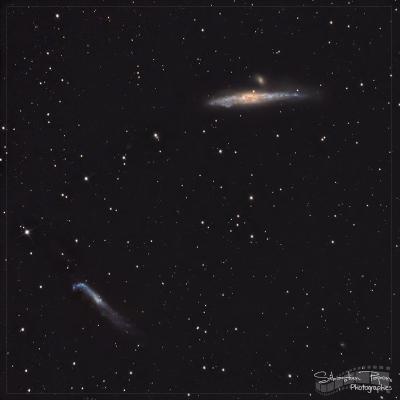 NGC 4631 et NGC 4656