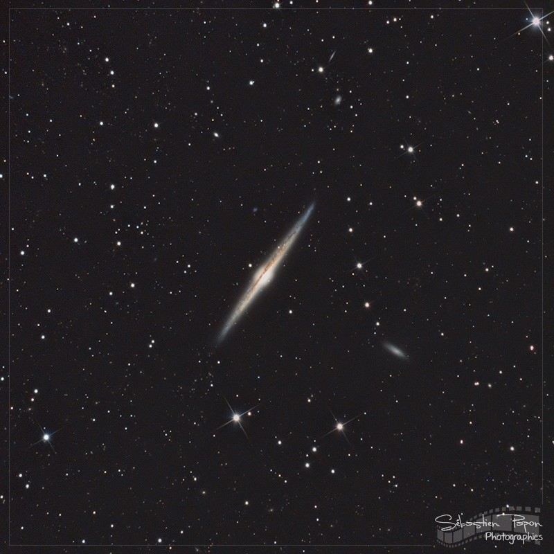 NGC 4565 - Galaxie de l'Aiguille