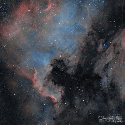 NGC 7000 - Nébuleuse de l'Amérique du Nord
