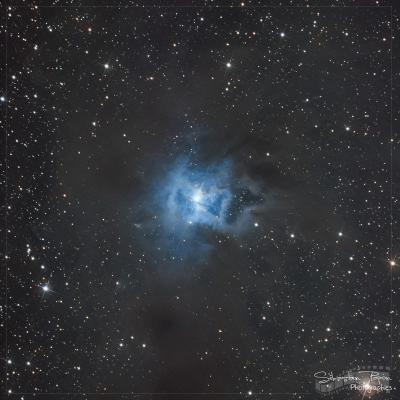 NGC 7023 - Nébuleuse de l'Iris