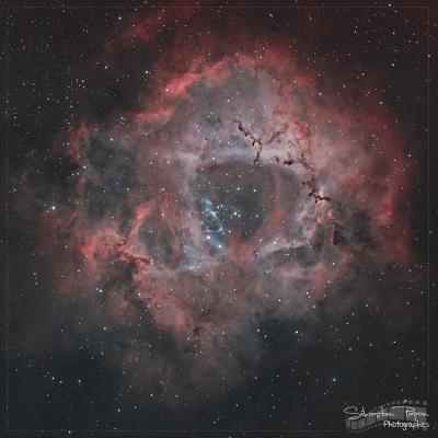 NGC 2244 - Nébuleuse de la Rosette