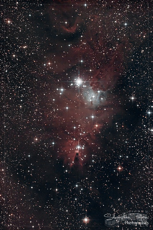 NGC 2264 - Nébuleuse du Cône