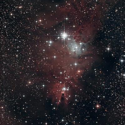 NGC 2264 - Nébuleuse du Cône