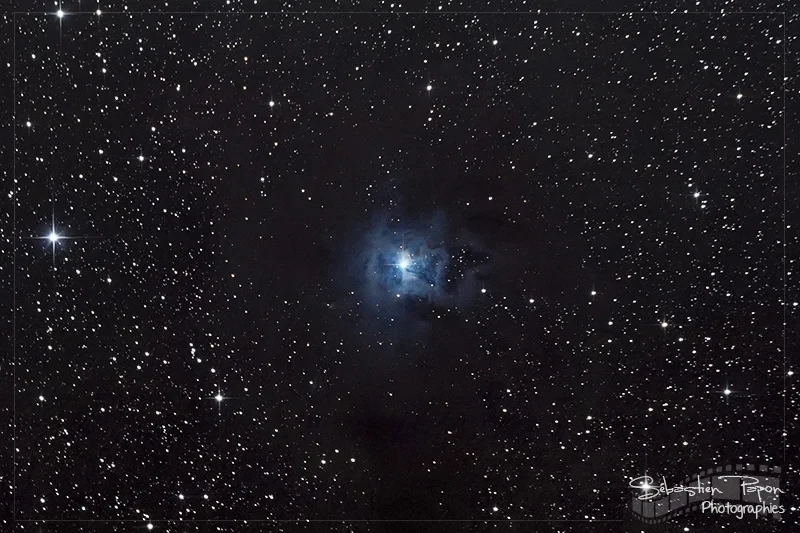 Iris - NGC 7023