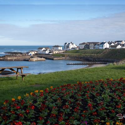 Portballintrae