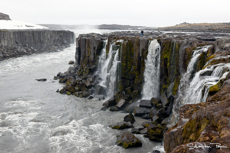 Selfoss_IMG_10564