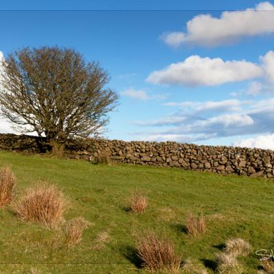 Wall of stone