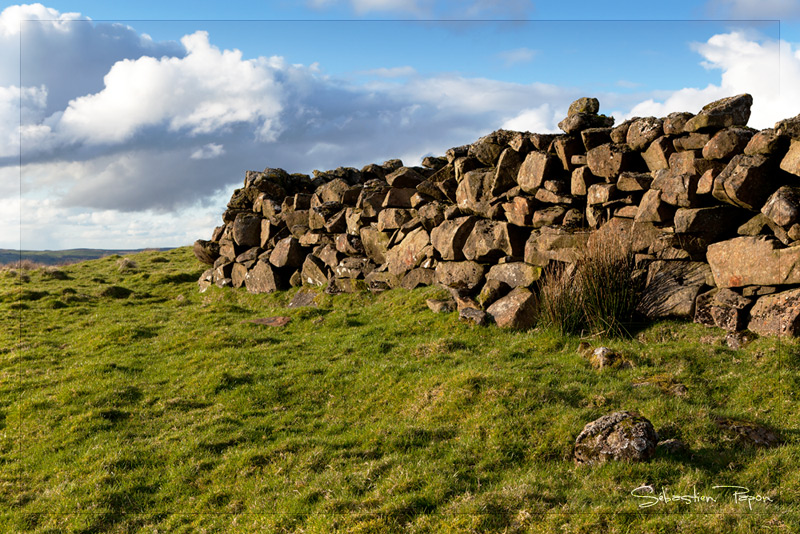 Wall of stone