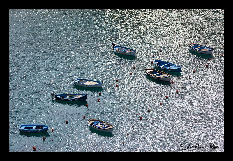 Coquilles